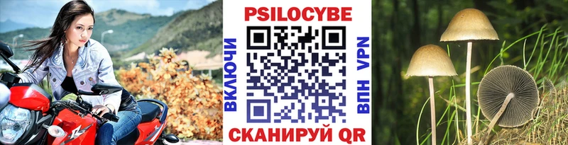 Псилоцибиновые грибы ЛСД  цены   Киренск 